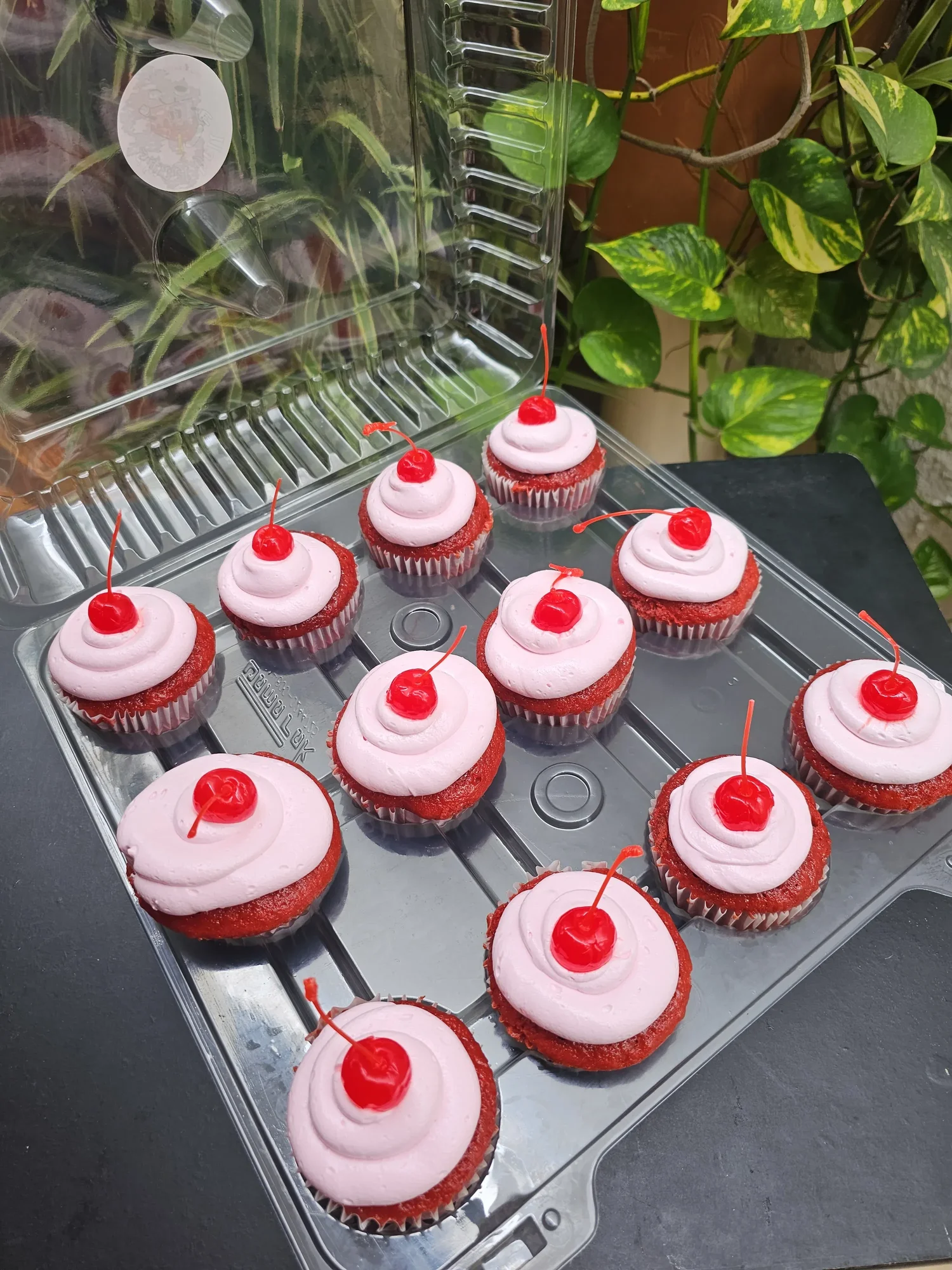 Docena de Cupcakes - Diseno 2 Sweet Hell