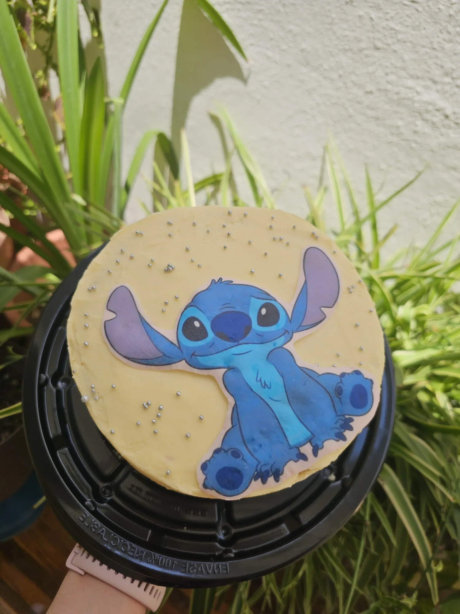 Pastel 4-8 porciones - Diseno 11 Sweet Hell