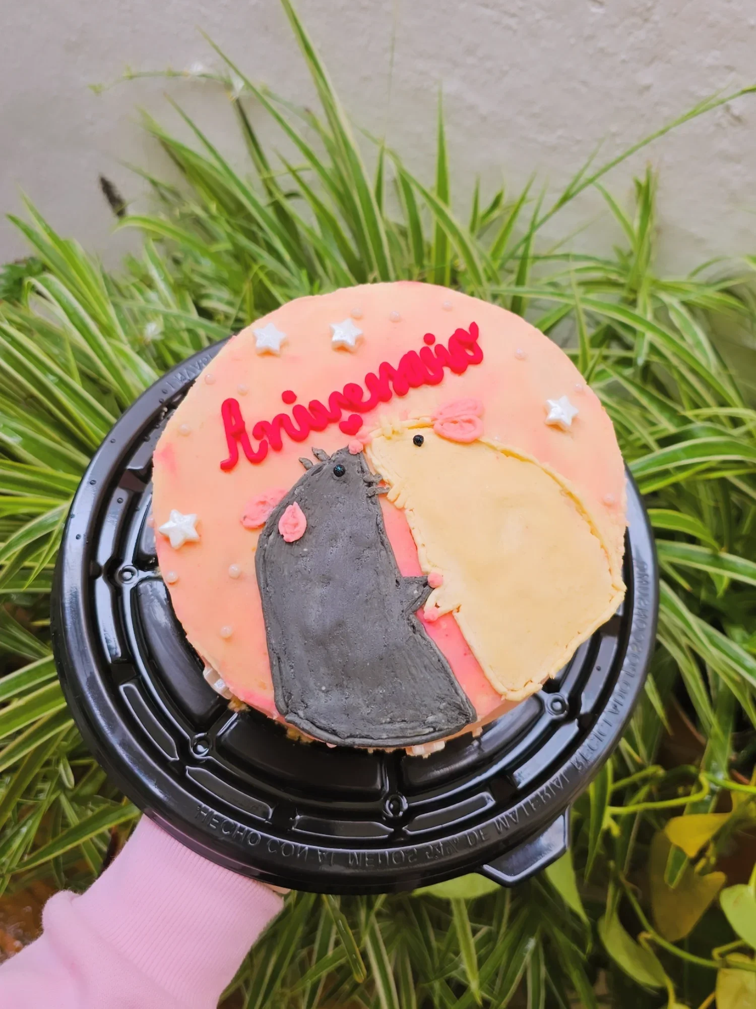 Pastel 4-8 porciones - Diseno 19 Sweet Hell