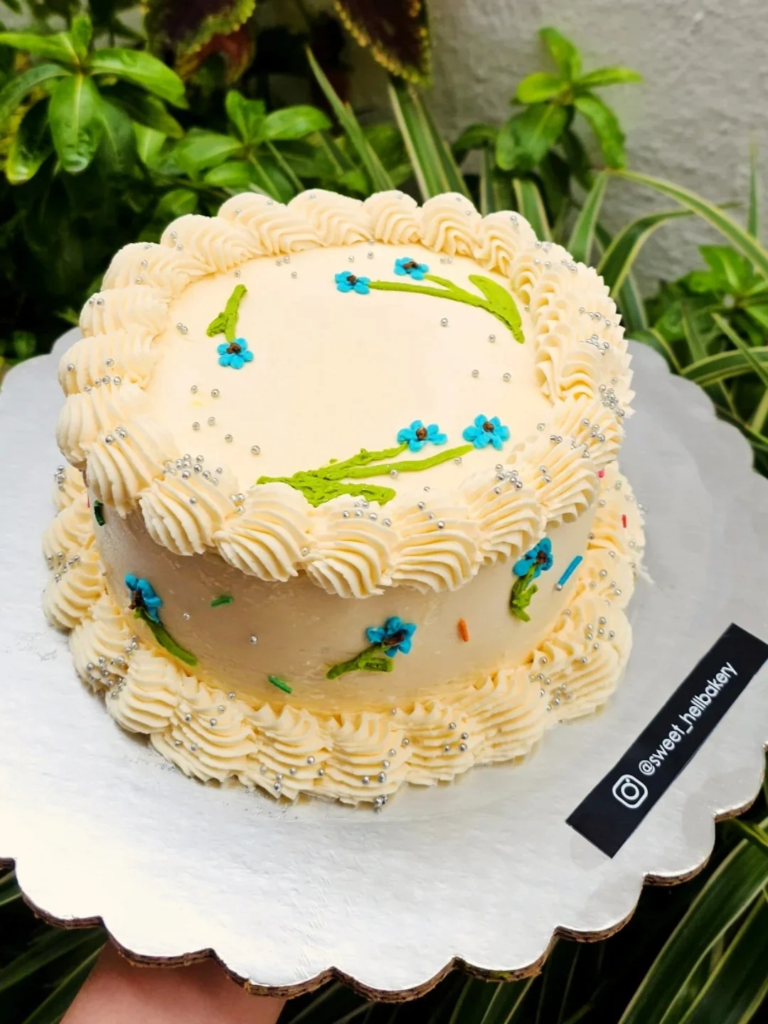 Pastel 4-8 porciones - Diseno 7 Sweet Hell